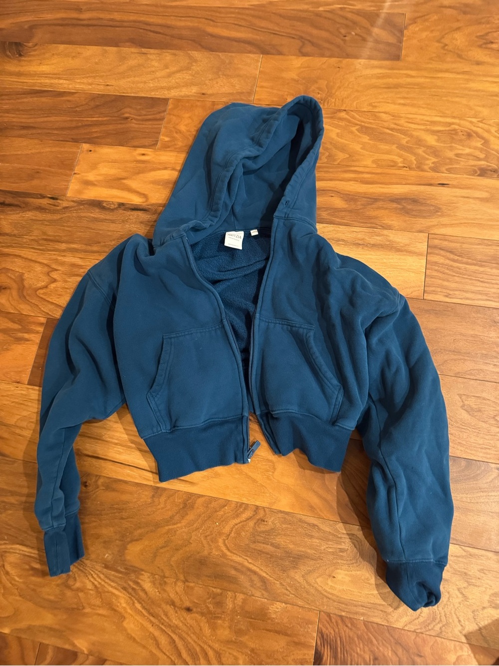 Aritzia Dark Teal  Hoodie